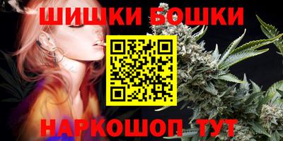 стаф Сланцы