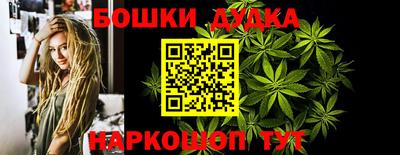 стаф Сланцы