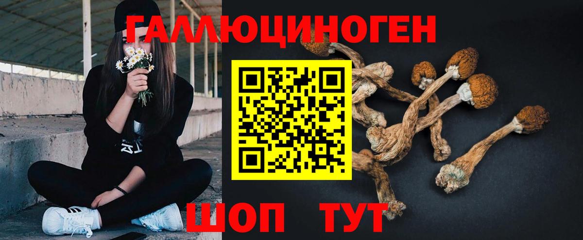 Псилоцибиновые грибы мухоморы  Галлюциногенные грибы Cubensis  Шебекино  Вход с VPN 
